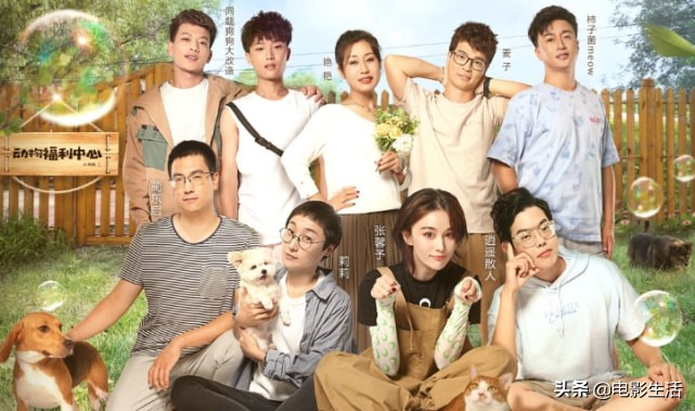 2019这些神级高分综艺你看过几部,冷门综艺排行榜前十名