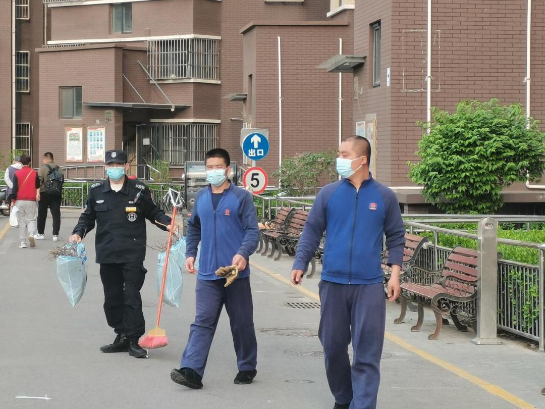 家中窗户上边住鸟窝好不好,家窗户外面有鸟窝是什么兆头