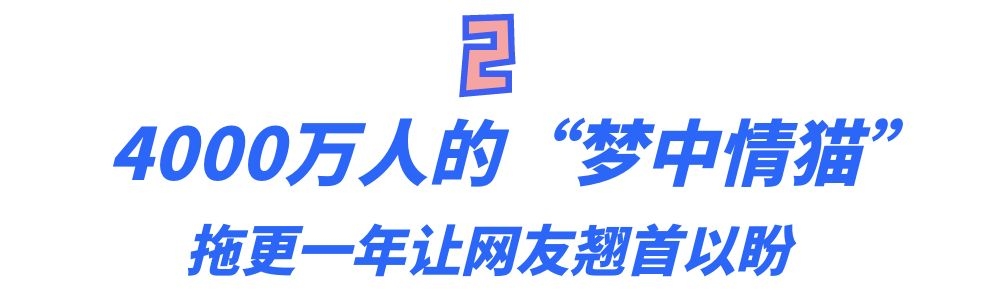 猫界顶流刘二豆,喵界顶流二豆