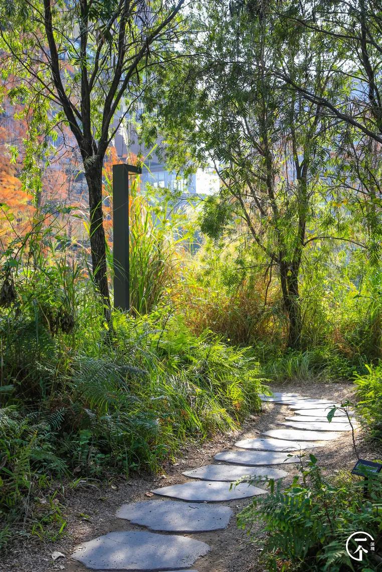 深圳4个绝美海岛,深圳值得游玩的小岛