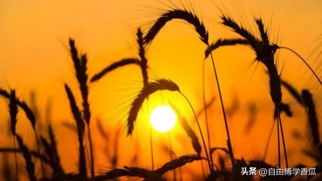 劳务派遣用工方式的利弊分析,劳务派遣用工方式和看法