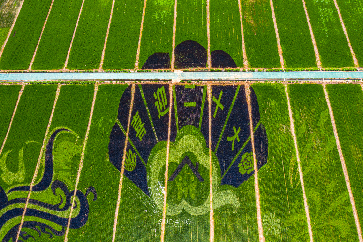 苏州各县到底有多强,苏州究竟有多强