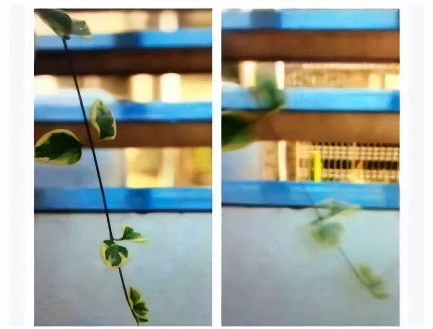 如何使用你手中的相机,如何使用好手机相机