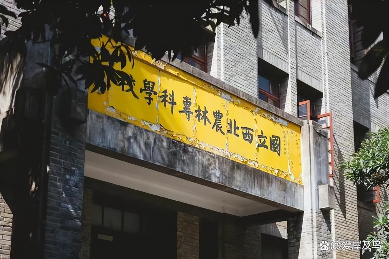陕西500强大学排名,西北五省大学排行榜和录取分数