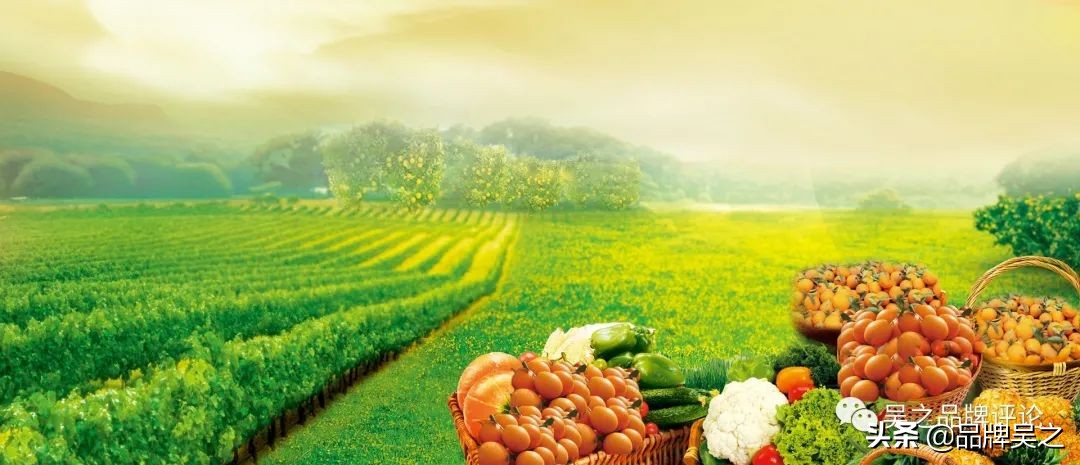 吴之讲区域品牌：对农产品品牌的6条实践理解，参考一下
