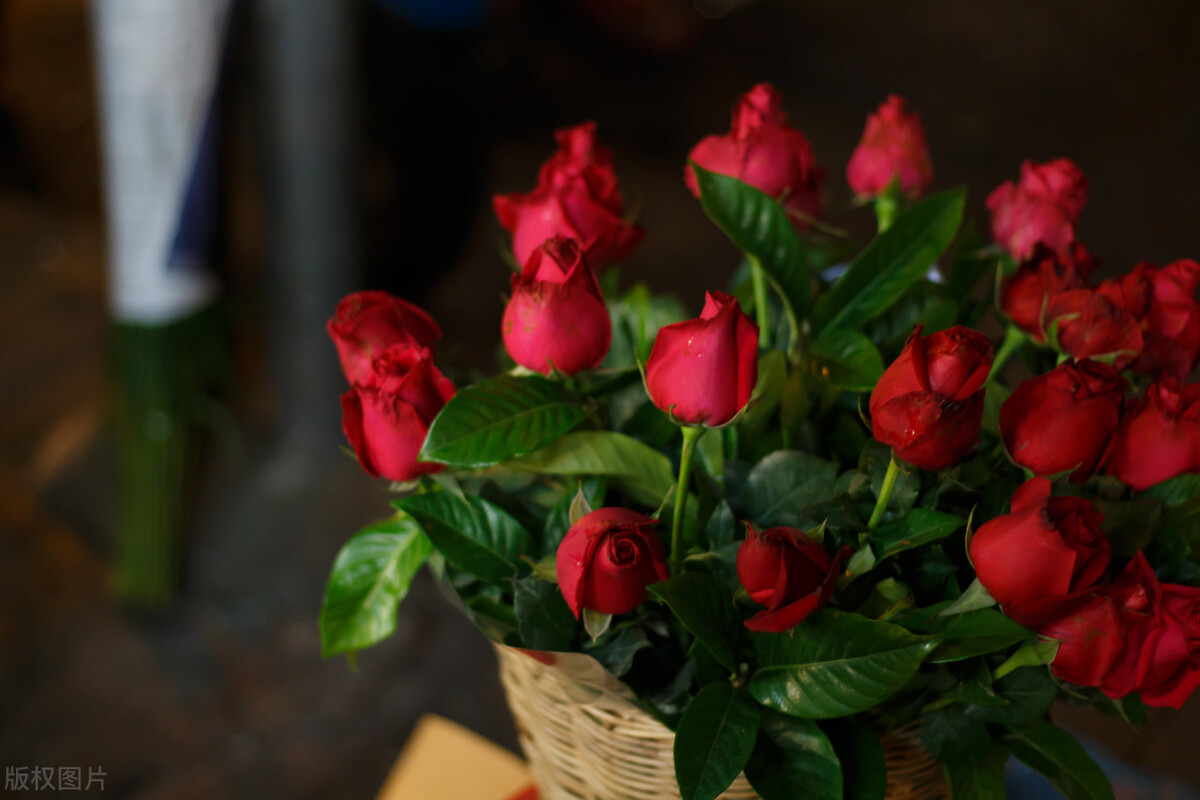 四月27号是什么日子,4月27号是什么日子