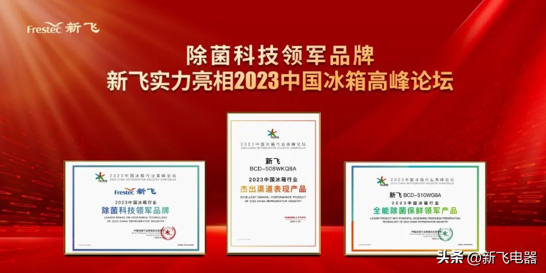 新飞双品牌协同发展,新飞竞争力