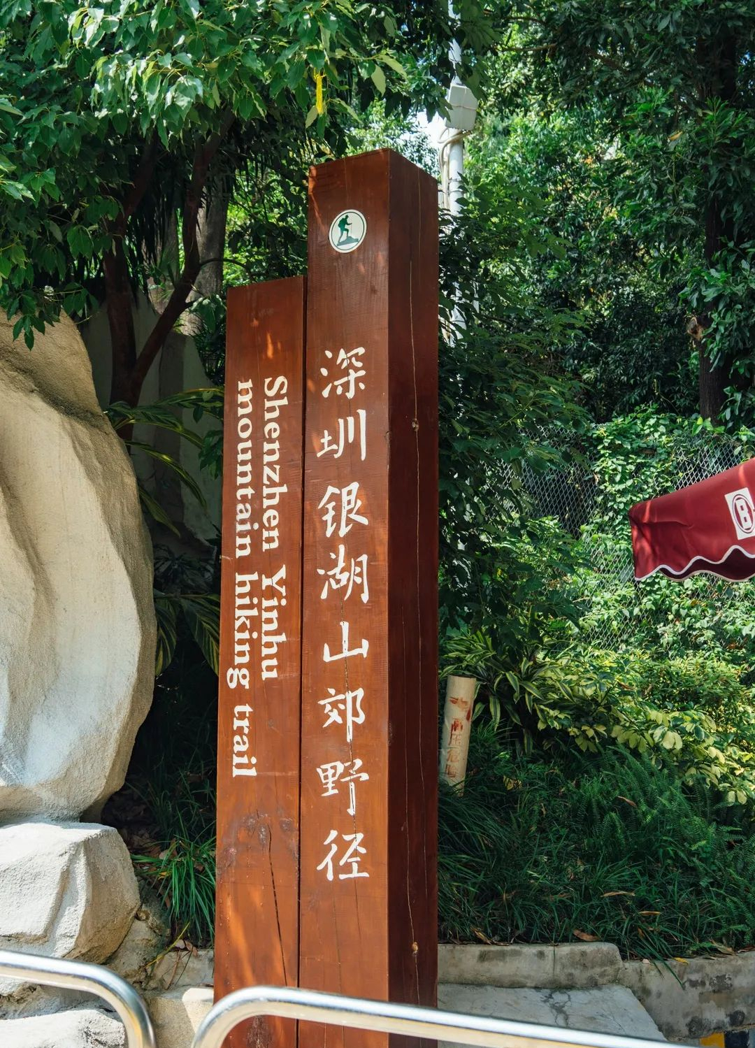 周末森林公园推荐深圳宝安,深圳森林公园登上山顶看美景