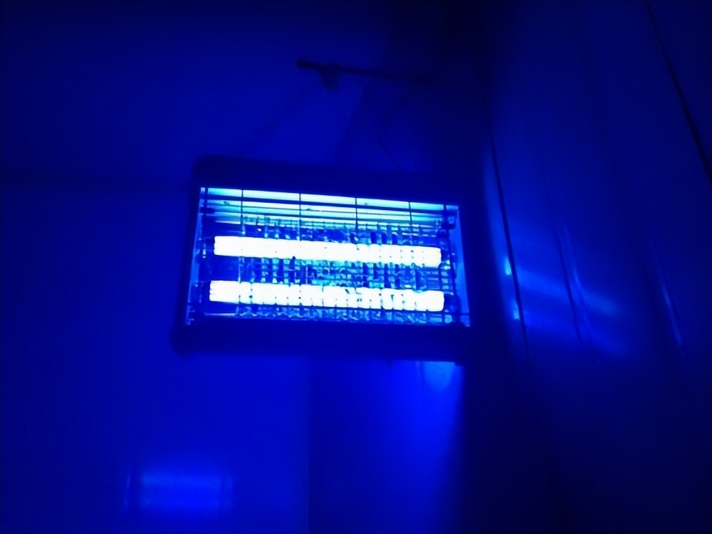 什么牌子的灭虫灯好,什么牌子的灭蝇灯好