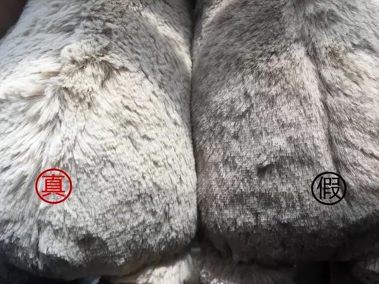 jellycat真假辨别邦尼兔,怎么辨别jellycat班尼兔真假