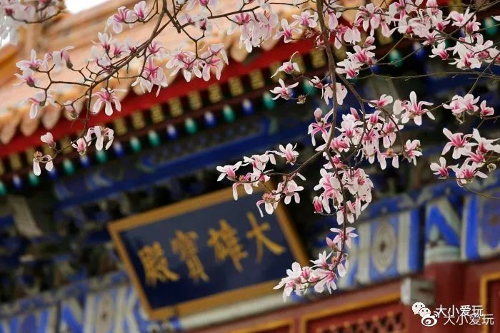 神秘的五个地方,神秘的5个地方