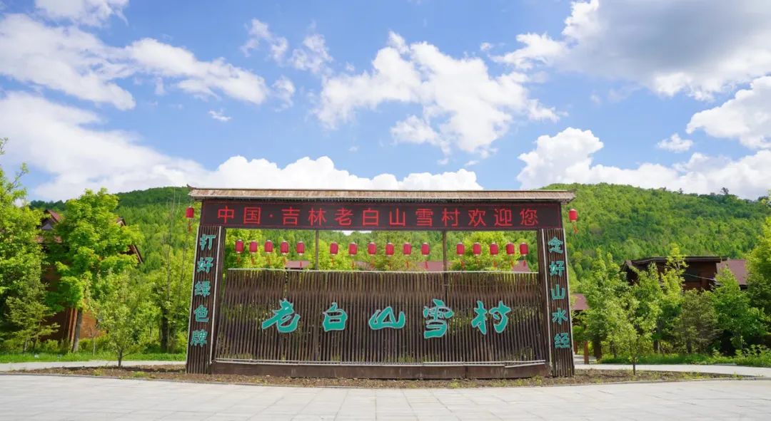 美好的夏天一切都在盛放,一切都从这个美好的夏天开始