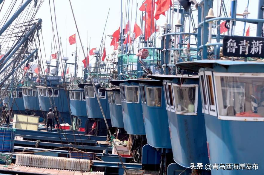 青岛西海岸开海,西海岸开海
