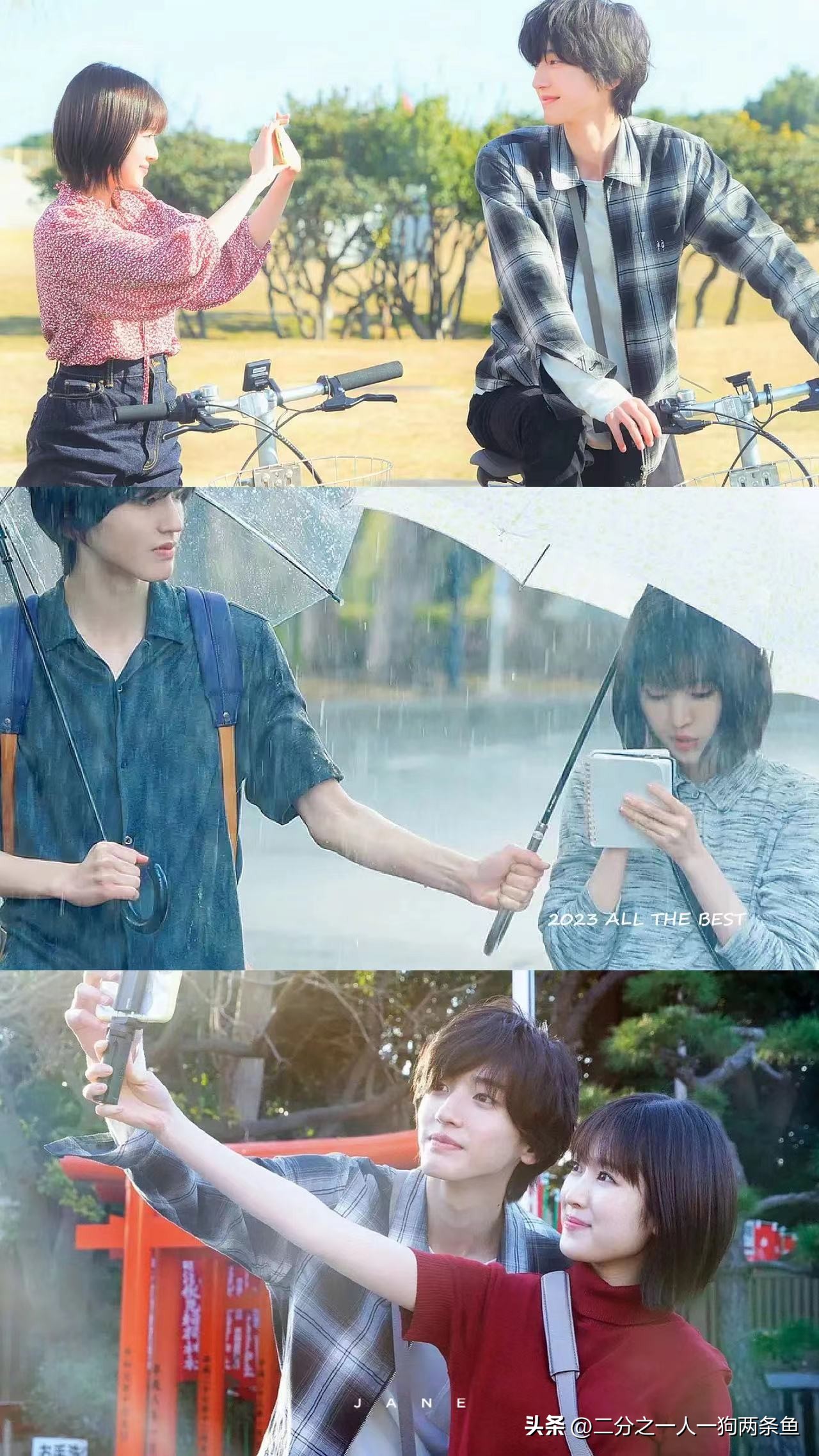 温暖感人的小众爱情电影,最催人泪下的爱情电影推荐