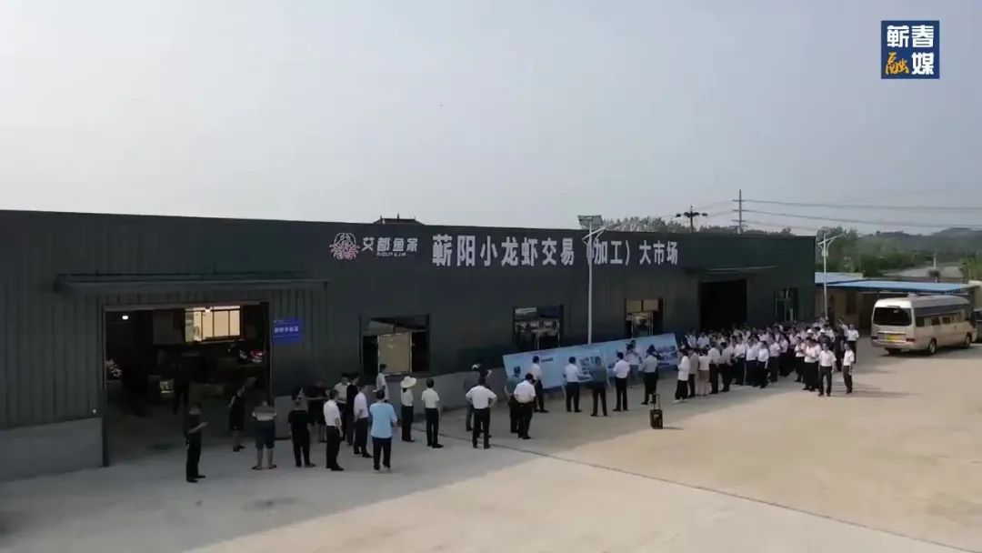 直击现场合集,直击现场拍摄