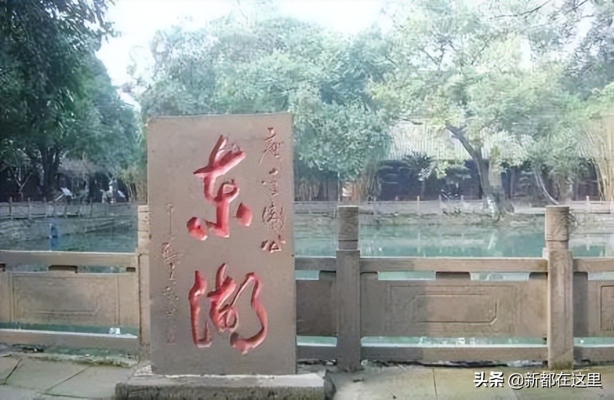 白兰华|那年我们过六一