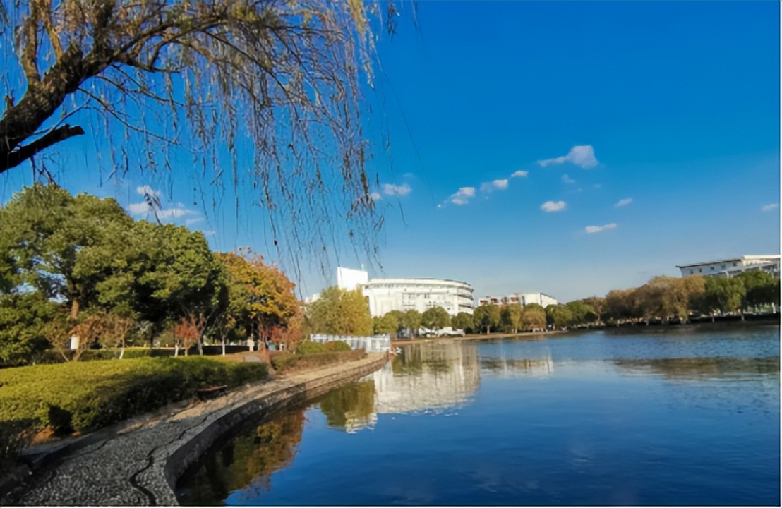 南京财大王牌专业排名,财大南校有啥专业