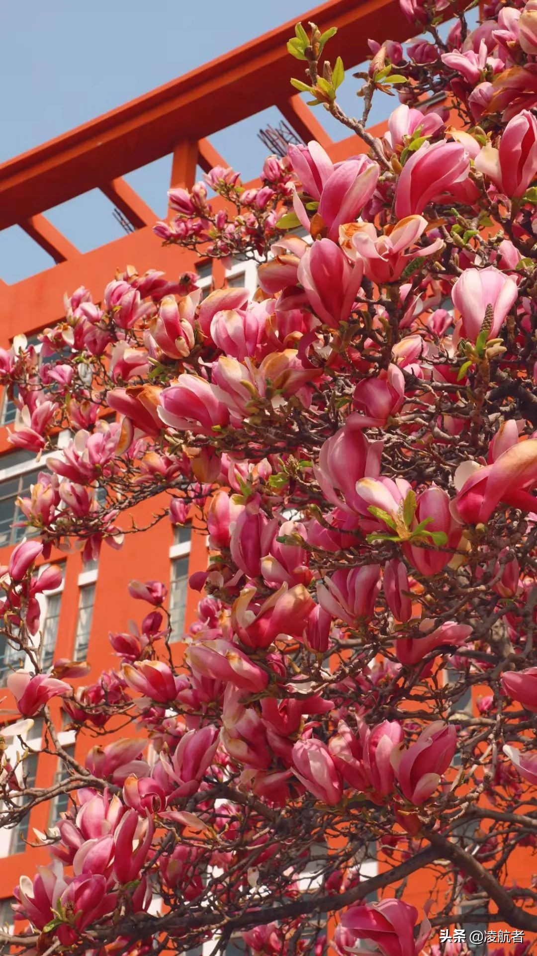 共赴春之约携手新征程,共赴春天之约携手砥砺前行