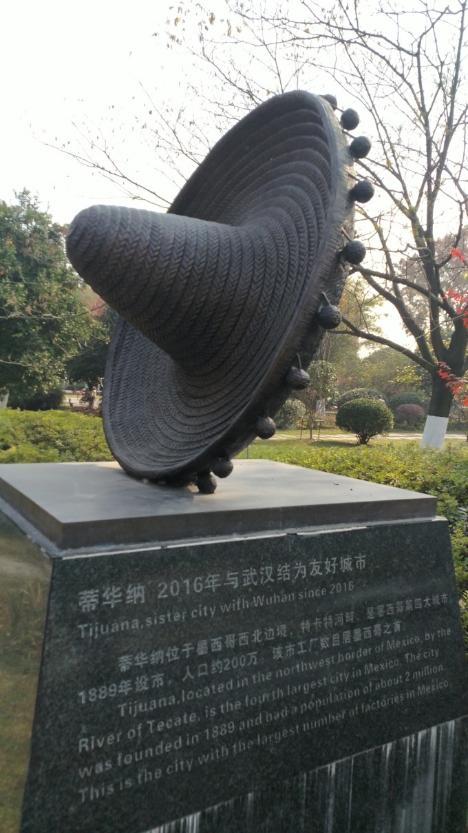 武汉友好城市视频,武汉友好城市联盟