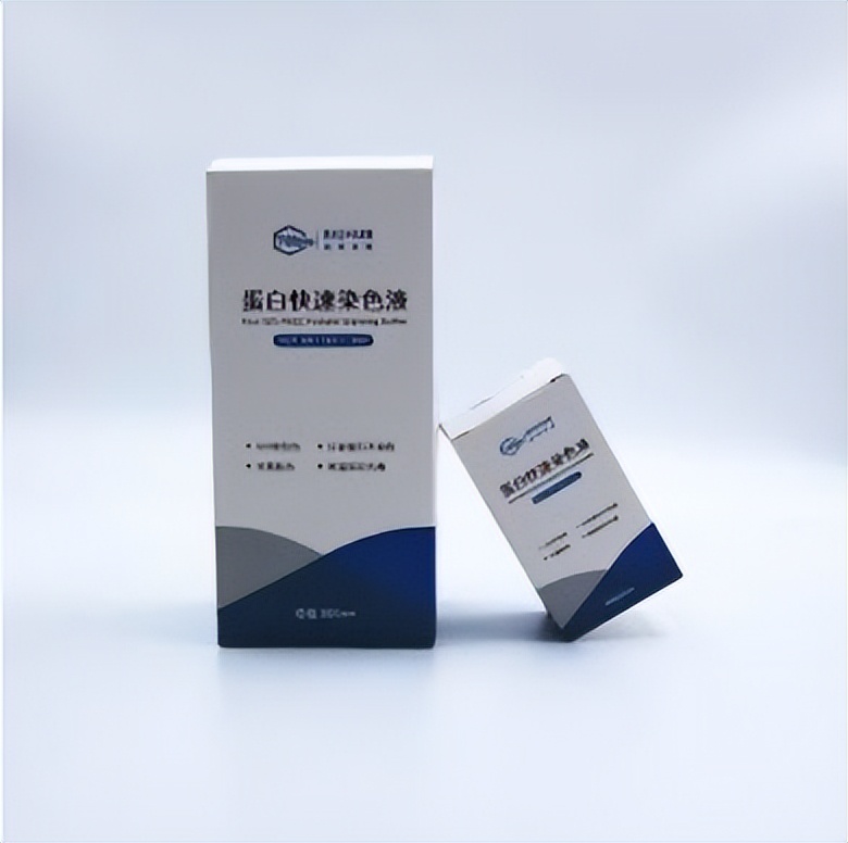 蛋白快速染色液,蛋白染色剂怎么用