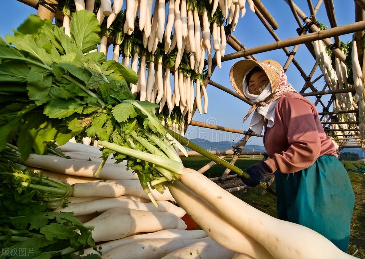 我在日本打工的那些日子,八十后的我在日本