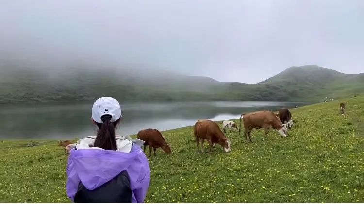 高原云海徒步登山感受,户外徒步登山看云海