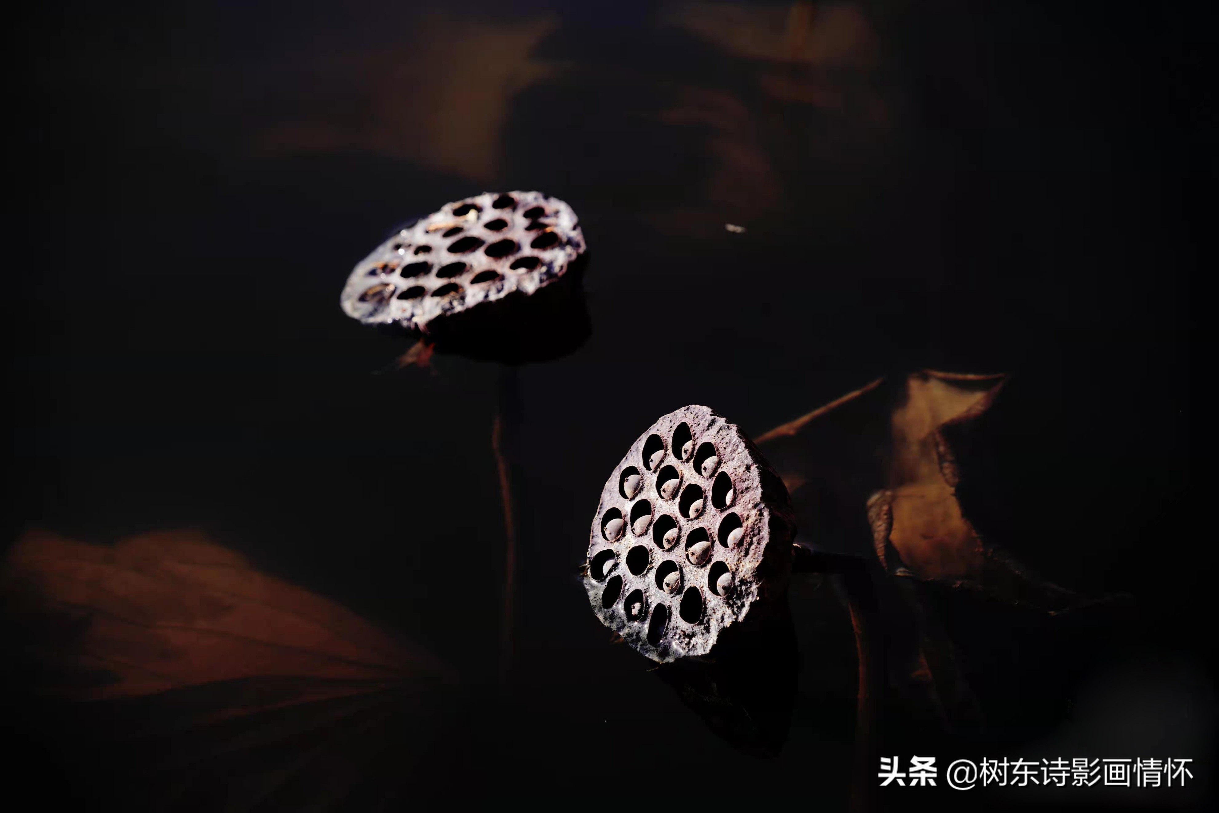 带有春的古诗名句飞花令,飞花令带春字的诗100句