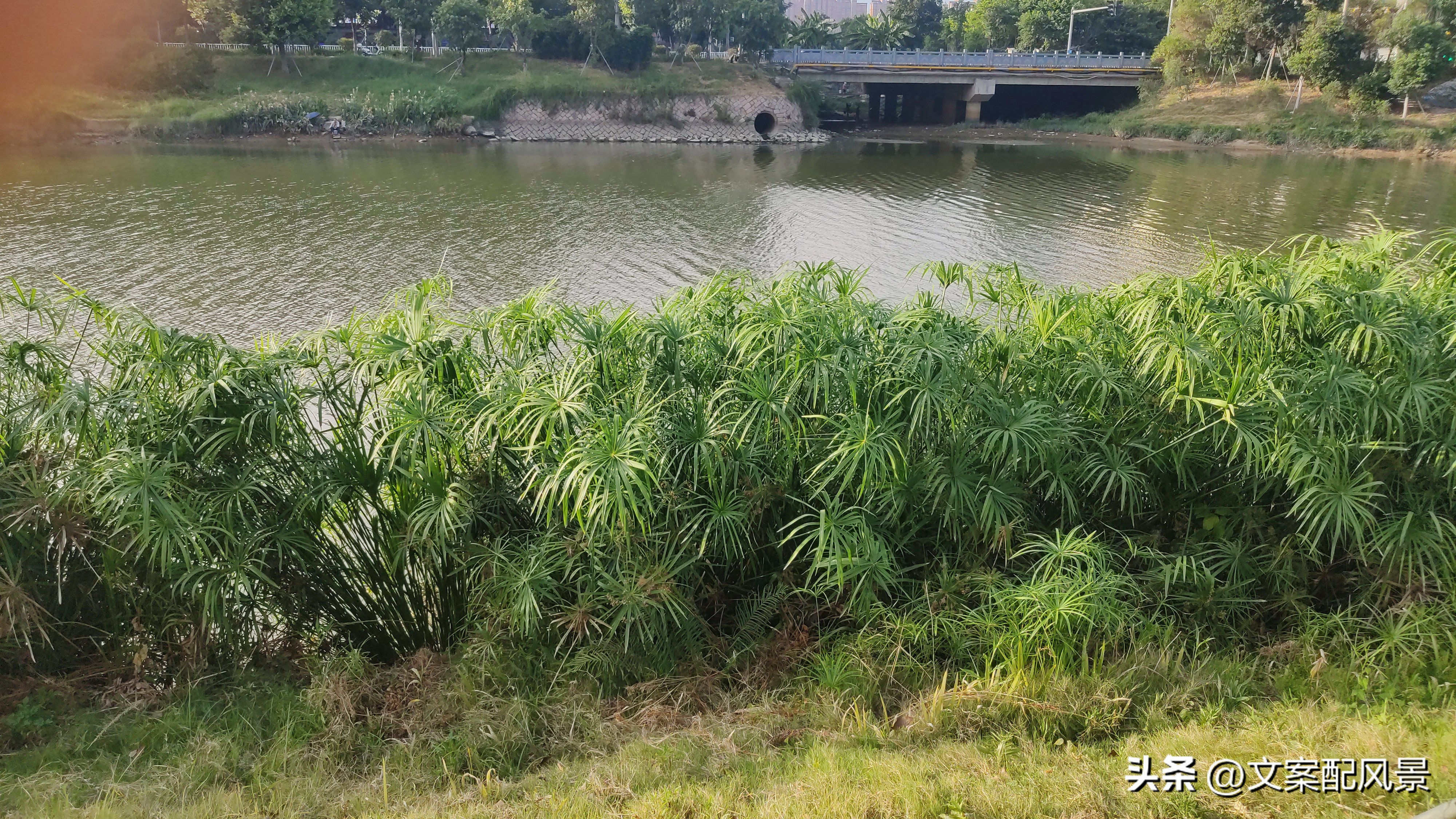 轮船港滨水公园什么时候建好,轮船港滨水公园