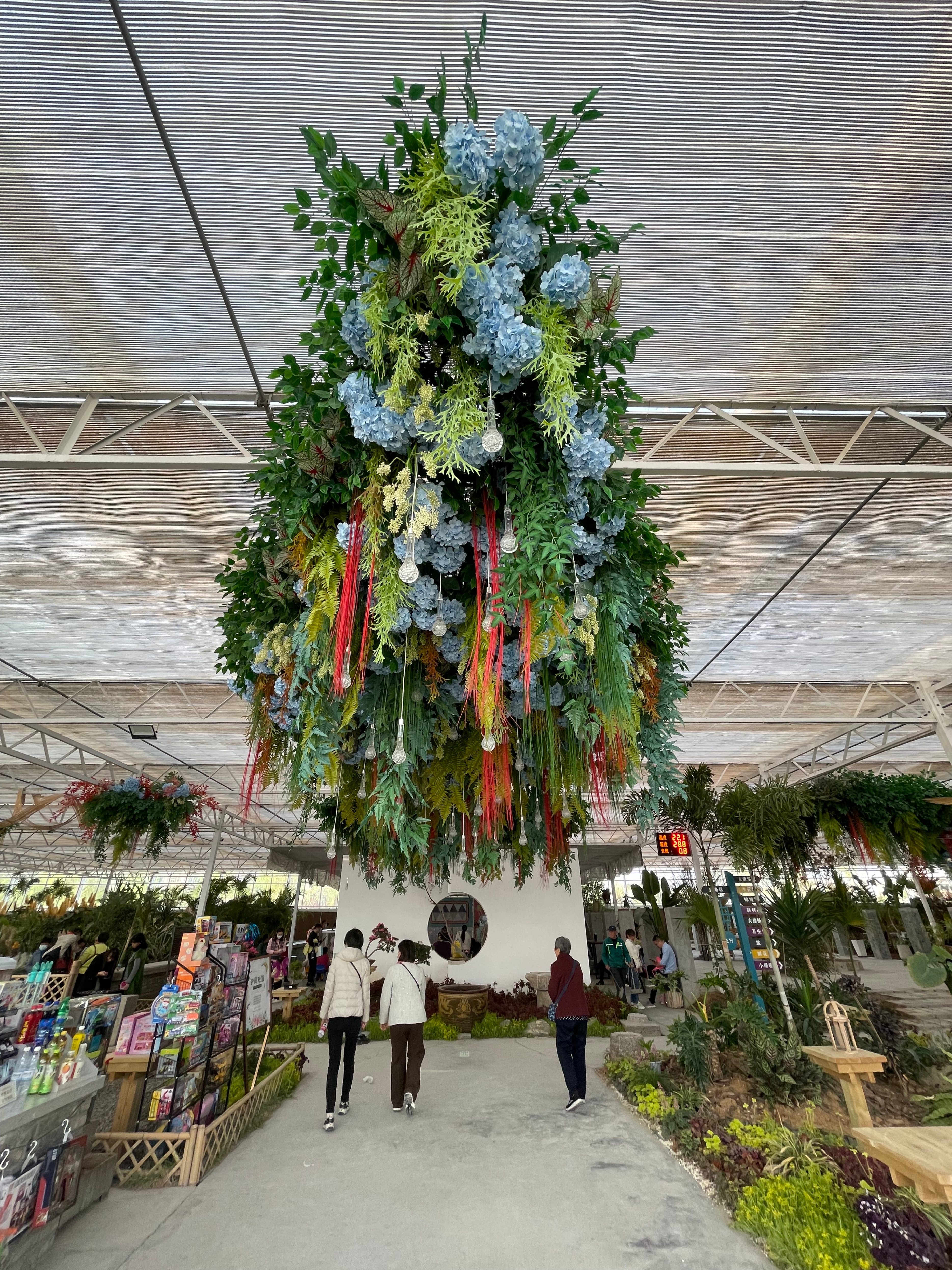 赏花、购花、娱乐，市民自家的小菜园，玉合赢花园中心挺棒