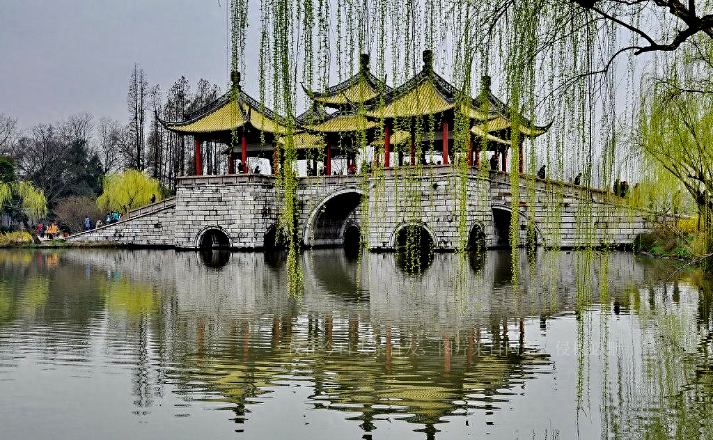 江苏盛产美女，8位苏籍美女，个个气质卓绝，盘正条顺