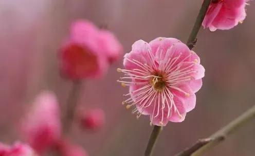 我想你了怎么办呀,我想你了怎么办高情商回答