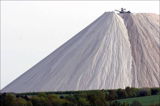 79个难得一见照片，飞机释放烟雾弹，逃票的女乘客，飞翔的蝙蝠