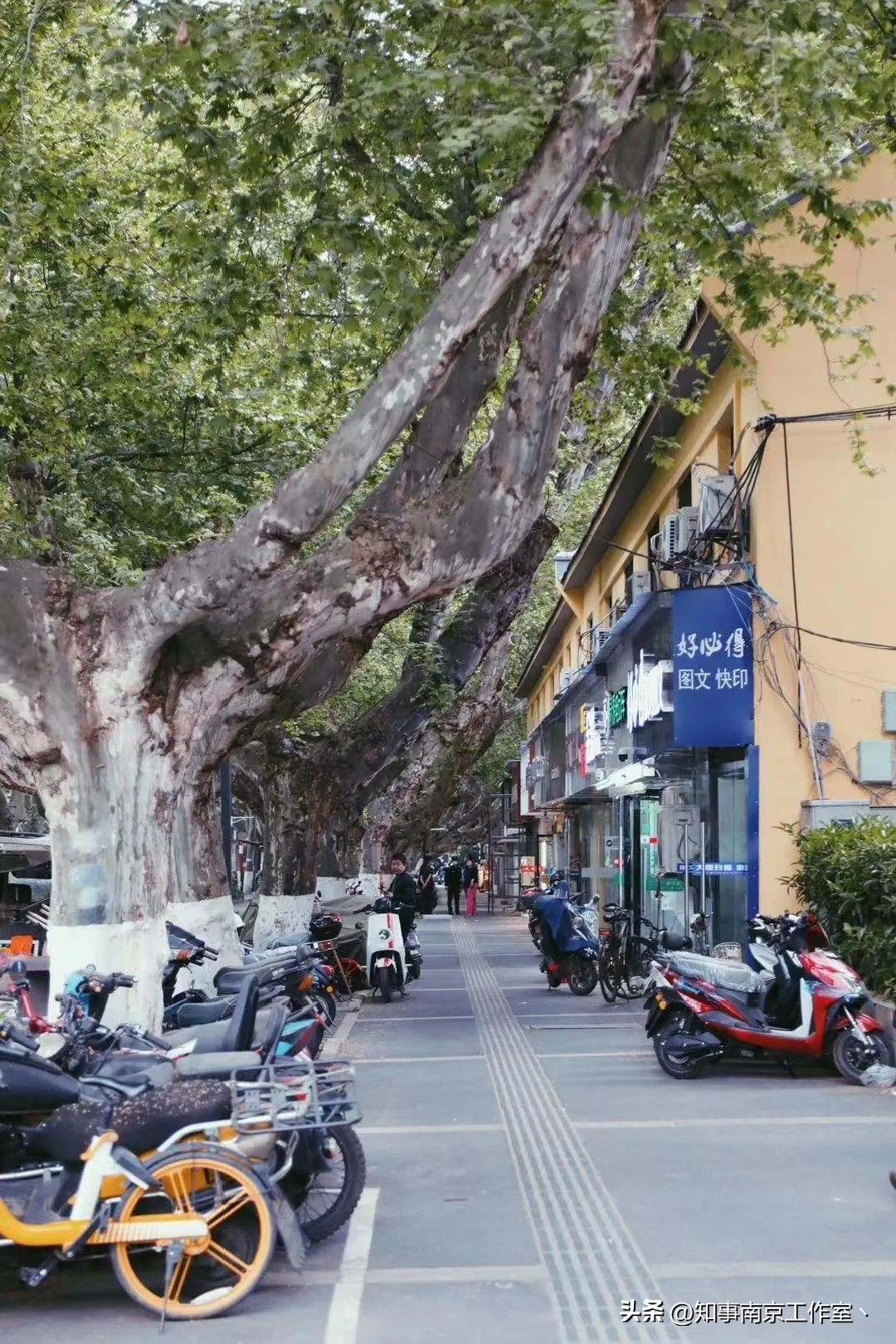 “布布布布布”，找回走散的老南京回忆！