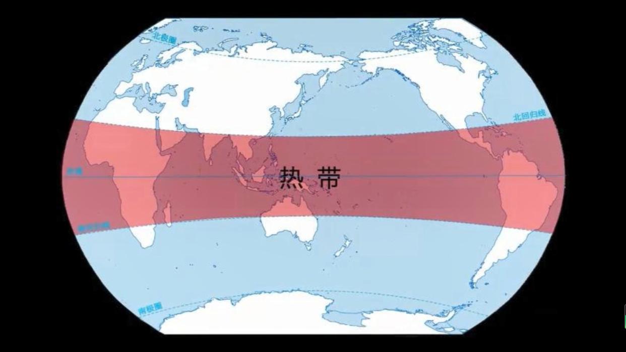 热带水果香蕉苹果,香蕉和芒果是热带水果吗
