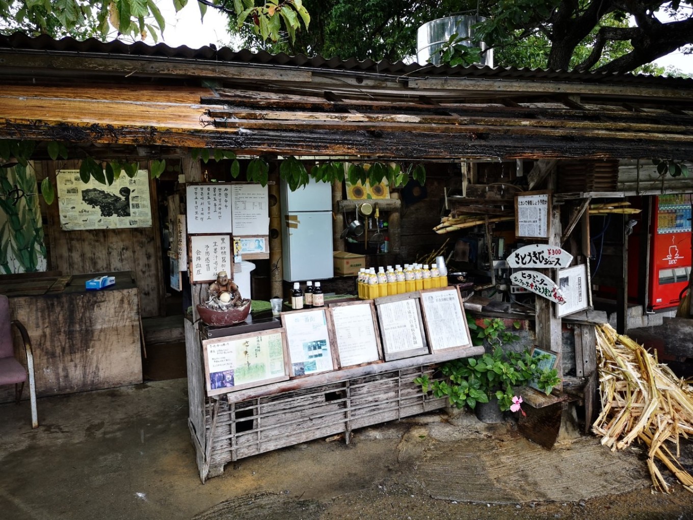 暑期档2019年,2019年暑期档