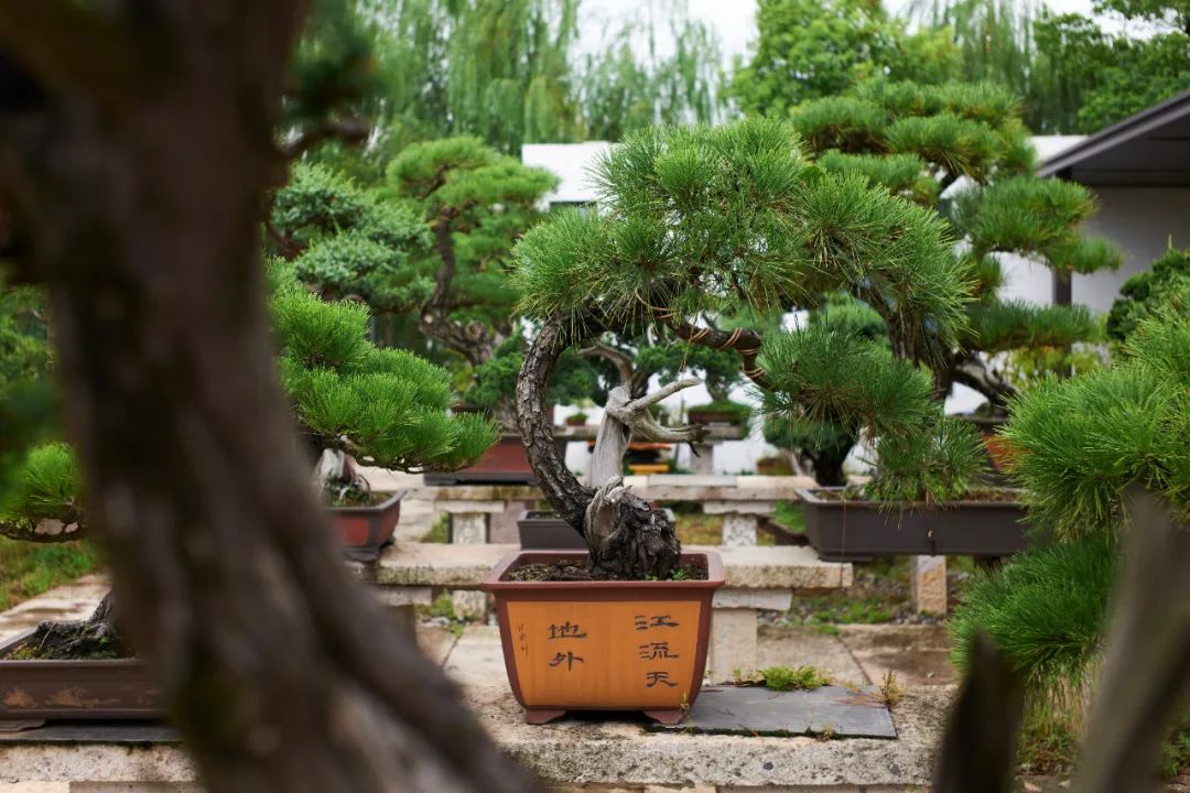 为了一家酒店爱上一座城市,为了一家酒店去了一座岛