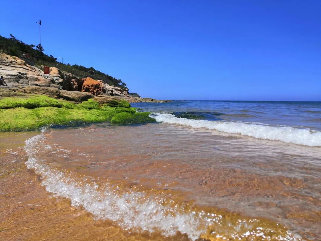 春天里的第一场露营安排,春天的第一次露营开始了