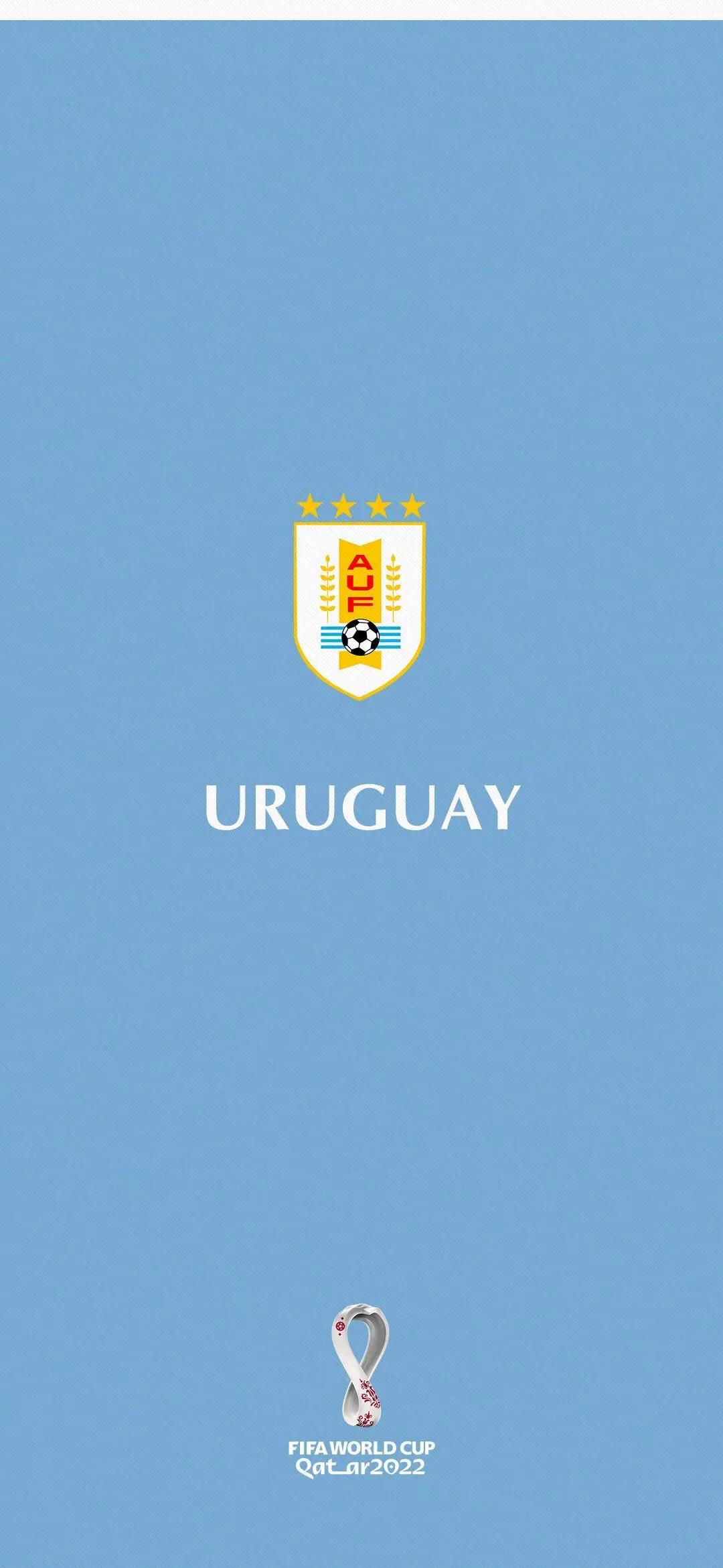 足球壁纸2020年,世界杯足球壁纸手机高清无水印