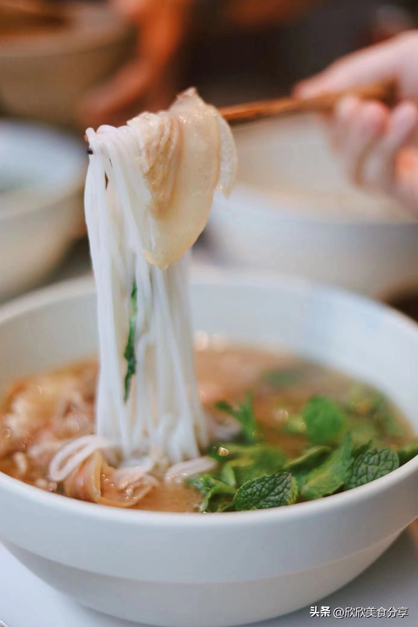 餐厅春菜上新，网罗山川田野的鲜食滋味