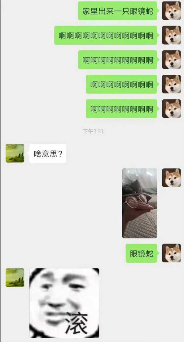 神回复你们媳妇都是怎么说的,神回复老婆和女朋友的区别