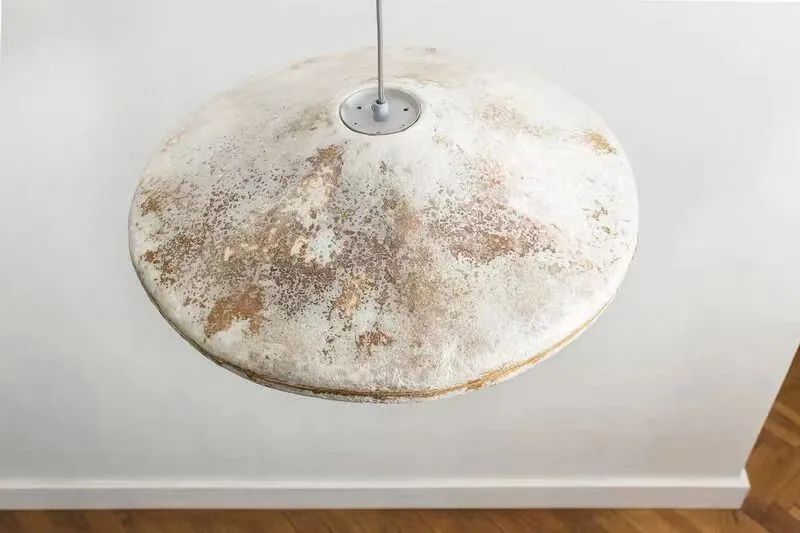 未之头条：重新认识霉菌，它除了变牛排还能盖房子