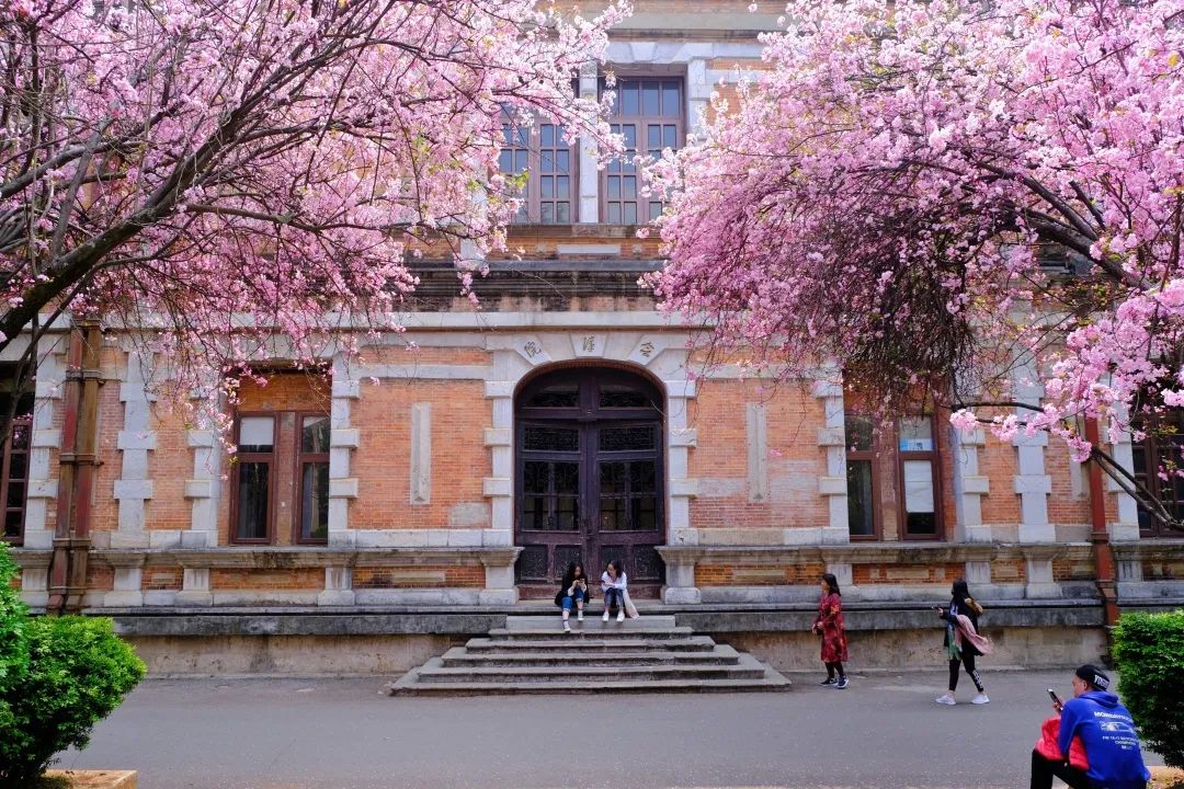 暑假昆明旅游攻略景点大全,暑假避暑旅游昆明