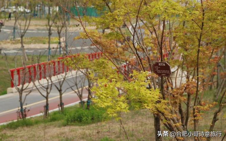 莺子朗诵《四季学林》作者：贺江平