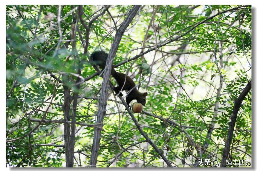 乌鲁木齐十大隐藏公园,乌鲁木齐最好的小绿谷公园