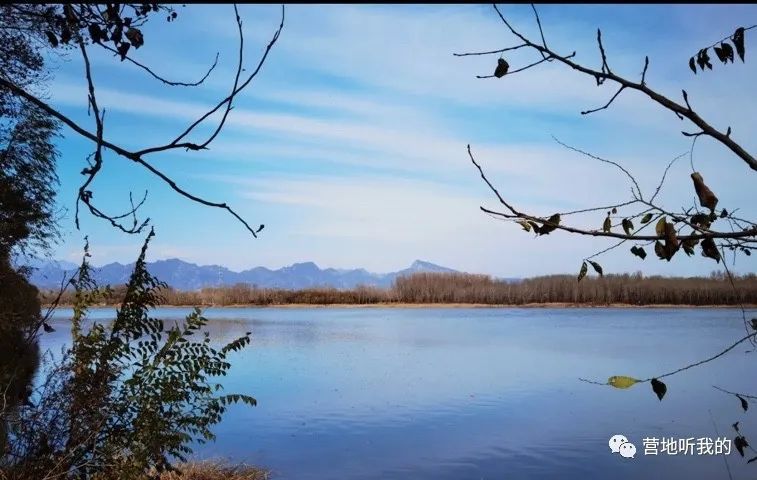 捞小河里的小蝌蚪,上海抓小蝌蚪的公园