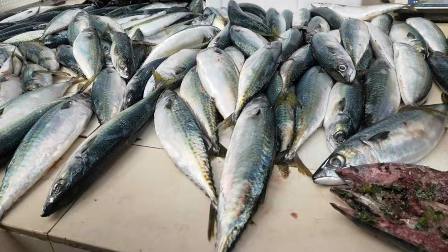 初冬，遇到此鱼我从不手软，一次买20斤，腌制存放，冬天吃特香