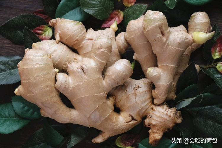 各种蔬菜的保鲜储存方法,各种蔬菜的储存保鲜方法