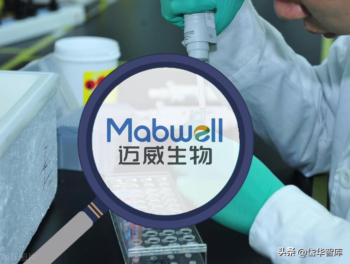有效避开内卷，迈威生物：ADC锋芒初显，快速成长的Biopharma