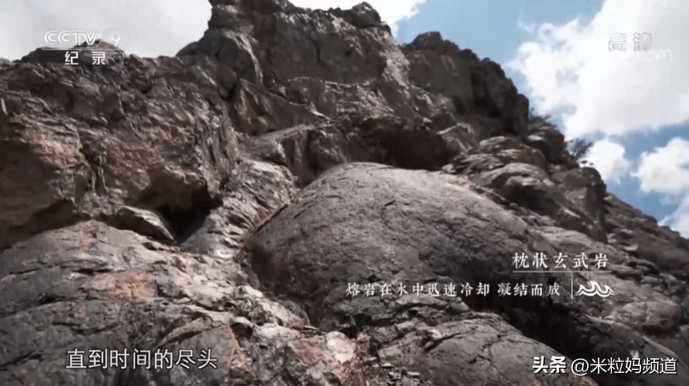 太养眼了！不能出门的日子，我给孩子找到了几个互联网“眼替”