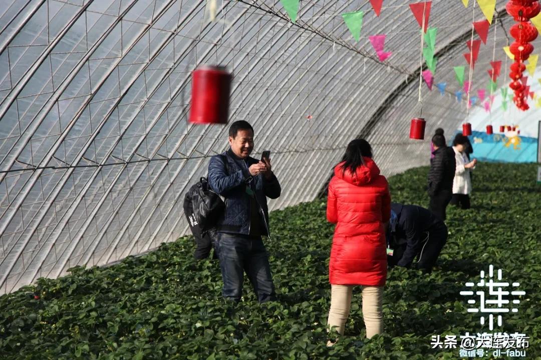 寒假不睡懒觉,寒假不补课就在家玩